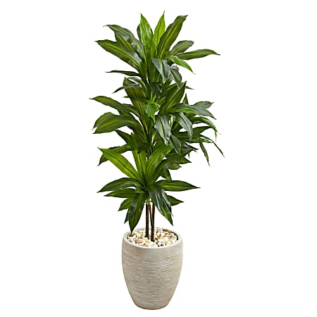 Nearly Natural Dracaena 48”H Artificial Real Touch Plant With Planter, 48”H x 18”W x 24”D, Green