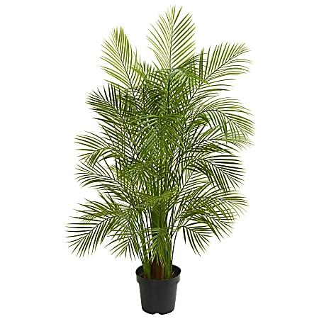 Nearly Natural Areca Palm 66”H Artificial Tree With Pot, 66”H x 14”W x 14”D, Green