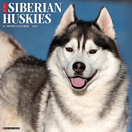 2025 Willow Creek Press Monthly Wall Calendar, 12" x 12", Siberian Huskies, January 2025 to December 2025, 44896