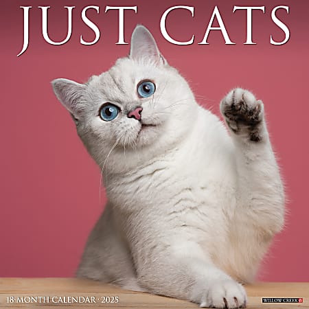 2025 Willow Creek Press Animals Monthly Wall Calendar, 12” x 12”, Cats, January To December, 42236