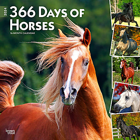 2024 Brown Trout Monthly Square Wall Calendar, 12" x 12", 366 Days of Horses, January To December