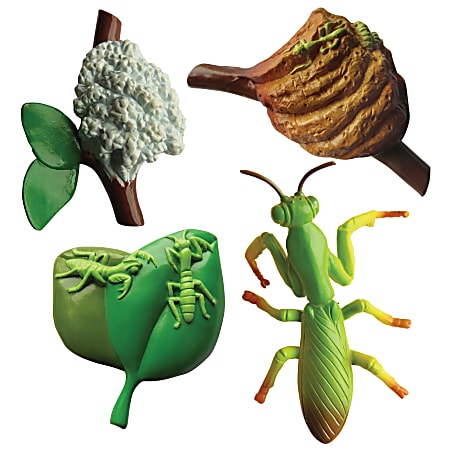 Insect Lore 4-Piece Praying Mantis Life Cycle Stages Figure Set, Green, Pre-K to 5th Grade