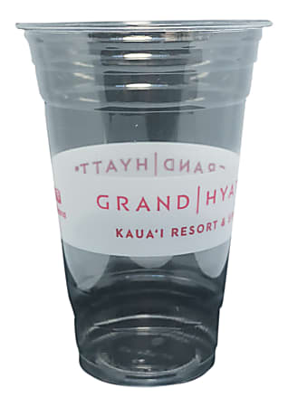 Edris Plastics Hyatt Flush PET Cups, 20 Oz, Clear, Carton Of 600 Cups