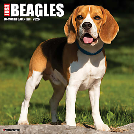 2026 Willow Creek Press Art & Design Monthly Wall Calendar, 12" x 12", Beagles, January To December, 50156