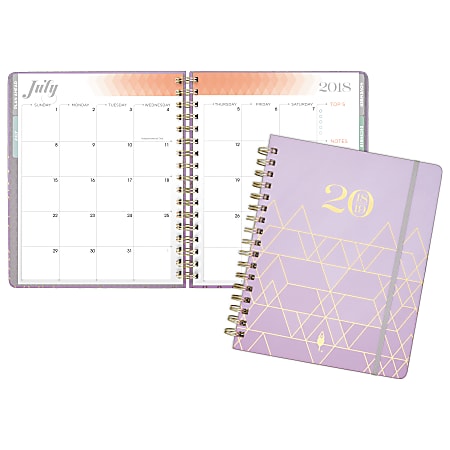 AT-A-GLANCE® inkWELL Press® liveWELL Monthly Planner™, 7" x 9", Violet Chevron, July 2018 to June 2019