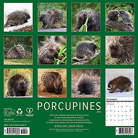 2026 Willow Creek Press Animals Monthly Wall Calendar 12 x 12 ...