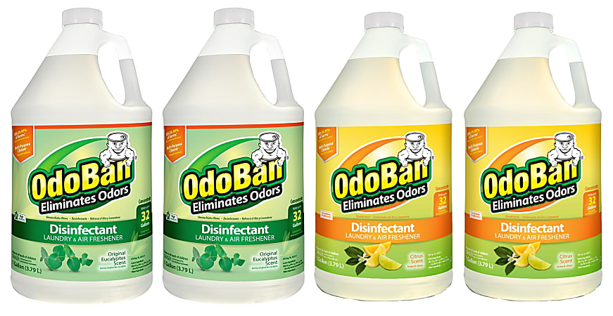 OdoBan Odor Eliminator Disinfectant Concentrate, 128 Oz, Case Of 2 Eucalyptus Scent Jugs And 2 Citrus Scent Jugs