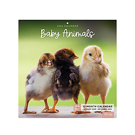 2026 Blue Sky Monthly Wall Calendar, 12” x 12”, Baby Animals, January To December, 155225