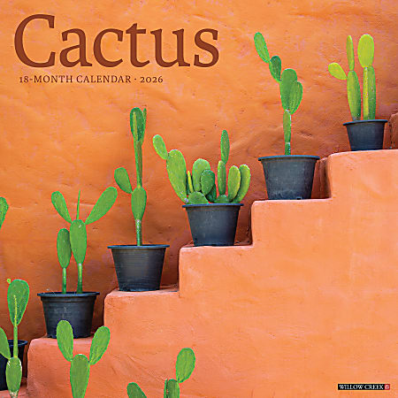 2026 Willow Creek Press Art & Design Monthly Wall Calendar, 12" x 12", Cactus, January To December, 50477