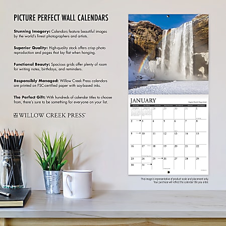 Willow Creek Press Animals Monthly Wall Calendar 12 x 12 Just Shiba ...
