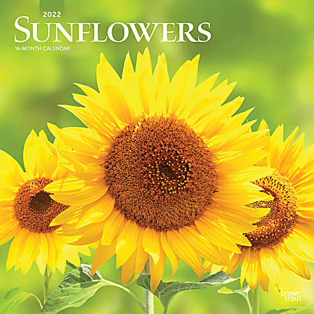 Brown Trout Monthly Inspirational Wall Calendar, 12" x 12", Sunflower, January To December 2022