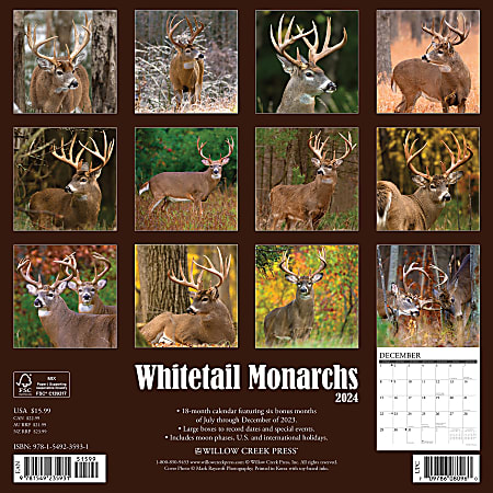 2024 Willow Creek Press Animals Monthly Wall Calendar 12 x 12 Whitetail ...
