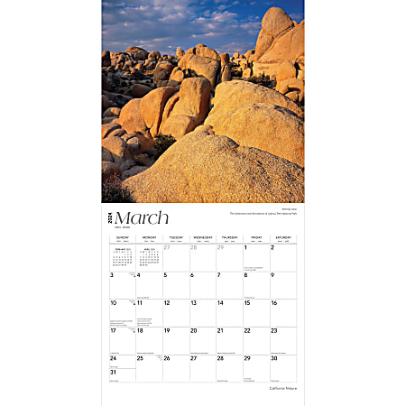2024 Brown Trout Monthly Square Wall Calendar, 12" x 12", California