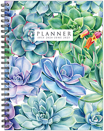 2024-2025 Willow Creek Press Weekly/Monthly Planner, 6-1/2" x 8-1/2", Succulents, July To June, 47477