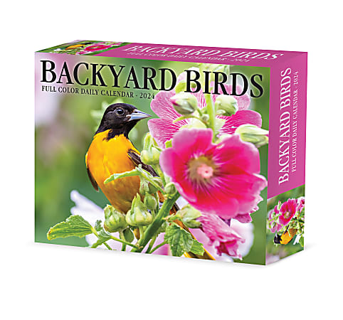 2024 Willow Creek Press Page-A-Day Daily Desk Calendar, 5" x 6", Backyard Birds, January To December
