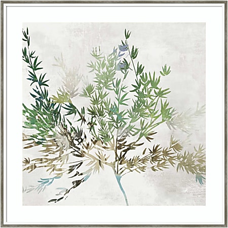 Amanti Art Olive Branch by Asia Jensen Wood