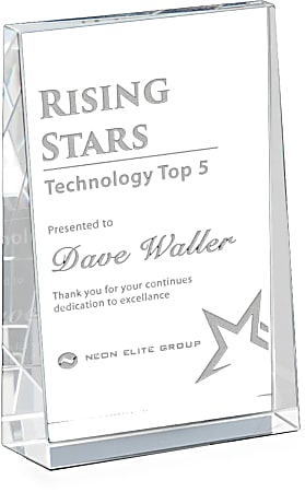 Custom Vertical Tweed Award, 4" x 6", Clear