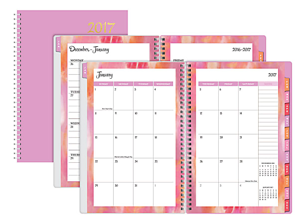 Divoga® Dazzling Weekly/Monthly Planner, 8" x 11", Solid Pink, January to December 2017