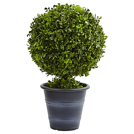 Nearly Natural 23 H Plastic Boxwood Ball Topiary With Planter Green -  Office Depot