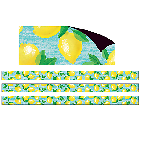 Teacher Created Resources Magnetic Border, Lemon Zest, 24' Per Pack, Set Of 3 Packs