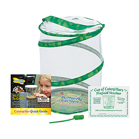 Insect Lore Butterfly Growing Kit, Green
