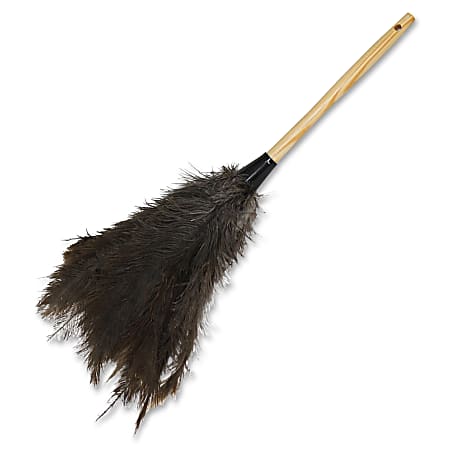 Genuine Joe Feather Duster - 12 / Carton - Brown Genuine Joe Feather Duster - 12 / Carton - Brown