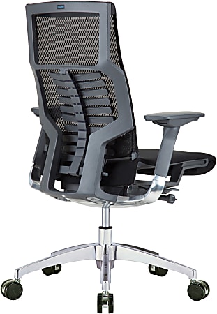 Raynor mesh back 2025 fabric task chair