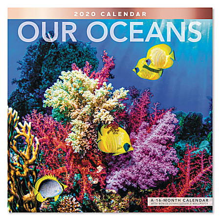 Mead® Our Oceans Monthly Wall Calendar, 12” x 12", January To December 2020, ODE22110