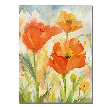 Trademark Global Field Of Poppies Gallery-Wrapped Canvas Print By Sheila Golden, 24"H x 32"W