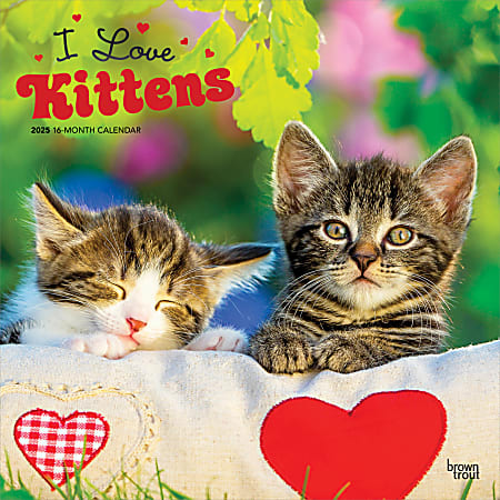 2025 BrownTrout I Love Kittens Monthly Plastic-Free Square Wall Calendar, 12" x 12", Cats, January to December 2025, 9781975477288