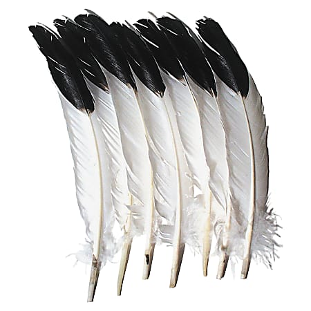 Creativity Street Imitation Eagle Feathers - Decoration, Art Project, Craft Project - 5"12" - 12 / Pack