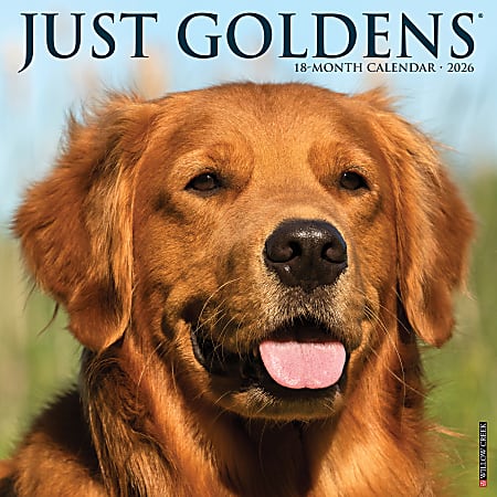 2026 Willow Creek Press Monthly Wall Calendar, 12" x 12", Just Goldens, January To December, O51320