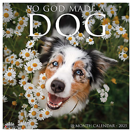 2025 Willow Creek Press Monthly Wall Calendar, 12" x 12", So God Made a Dog, January 2025 to December 2025, 44971