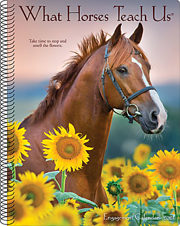 Willow Creek Press Weekly Engagement Calendar, 8-1/2" x 6-1/2", FSC® Certified, Horses, January To December 2021