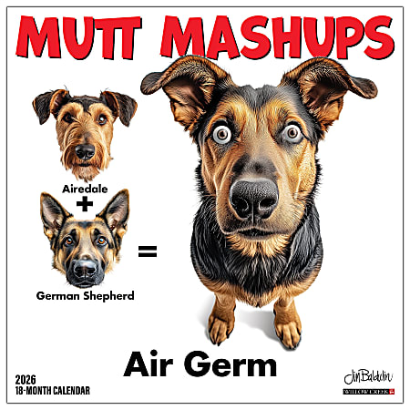 2026 Willow Creek Press Animals Monthly Wall Calendar, 12" x 12", Mutt Mashups, January To December, 55984