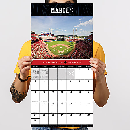 Cincinnati Reds 2025 Wall Calendar