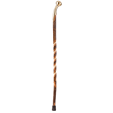 Brazos Walking Sticks™ Twisted Free-Form Brass Hame-Top Hickory Cane, 37", Natural