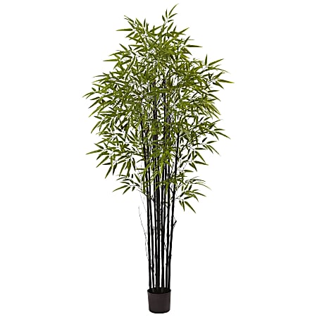 Nearly Natural Black Bamboo 72”H Plastic UV Resistant Indoor/Outdoor Tree With 1,470 Leaves And Pot, 72”H x 34”W x 34”D, Green
