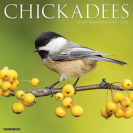 Willow Creek Press Animals Monthly Wall Calendar, 12" x 12", Chickadees, January to December 2022, 22306