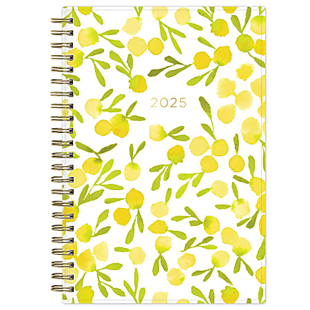 2025 Blue Sky WeeklyMonthly Planning Calendar 5 x 8 Mimosa January 2025