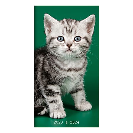 2023-2024 TF Publishing 2-Year Monthly Pocket Planner, 6-1/2" x 3-1/2", Kittens, January 2023 To December 2024 