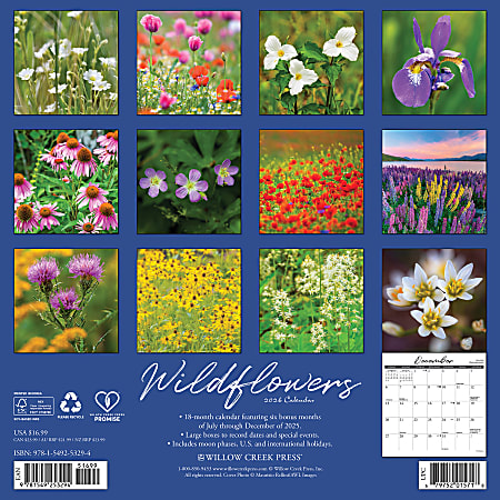 2026 Willow Creek Press Scenic Monthly Wall Calendar 12 x 12 ...
