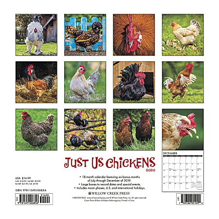 Willow Creek Press Animals Monthly Wall Calendar 12 x 12 Just Us ...