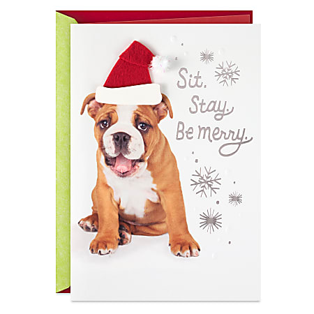 Hallmark Christmas Card (Happy from Head to Tail, Dog)