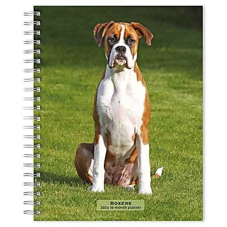 2023-2024 BrownTrout 16-Month Weekly/Monthly Engagement Planner, 7-3/4" x 7-3/16", Boxers International Edition, September To December