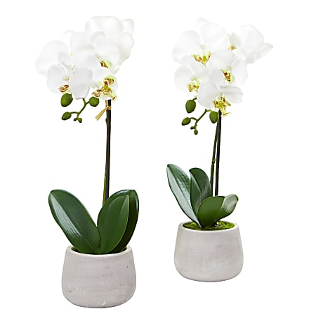 Nearly Natural Phalaenopsis Orchid 15”H Artificial Floral Arrangements With Planter, 15”H x 4-1/2”W x 4-1/2”D, White, Set Of 2