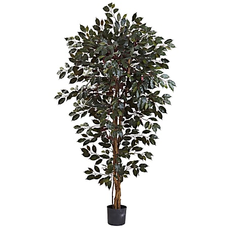 Nearly Natural Capensia Ficus 72”H Plastic Tree With Pot, 72”H x 42”W x 42”D, Green
