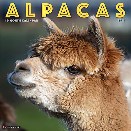 2025 Willow Creek Press Animals Wall Calendar, 12" x 12", Alpacas, January To December, 41291