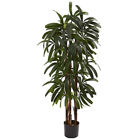 Nearly Natural Raphis Palm 48”H Tree With Pot, 48”H x 29”W x 27”D, Green