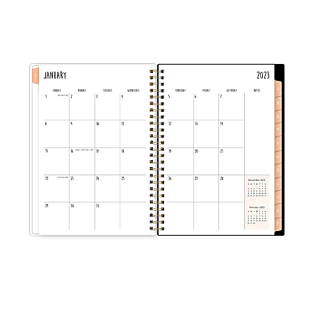 Blue Sky WeeklyMonthly Planning Calendar 5 78 x 8 58 Bouquetia Clear